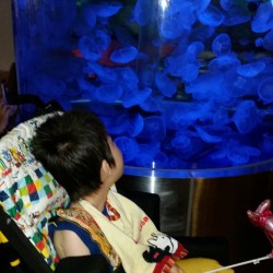 山郷館くろいし　浅虫水族館