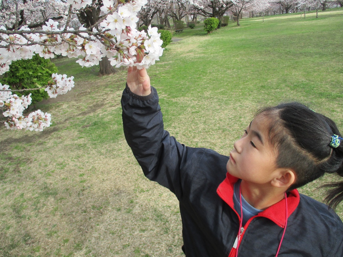 お花見外出～児童発達支援センター花りんご～