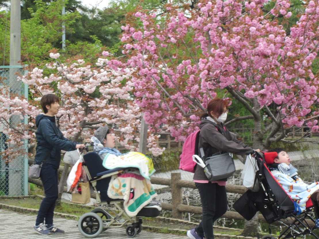 お花見外出～児童発達支援センター花りんご～
