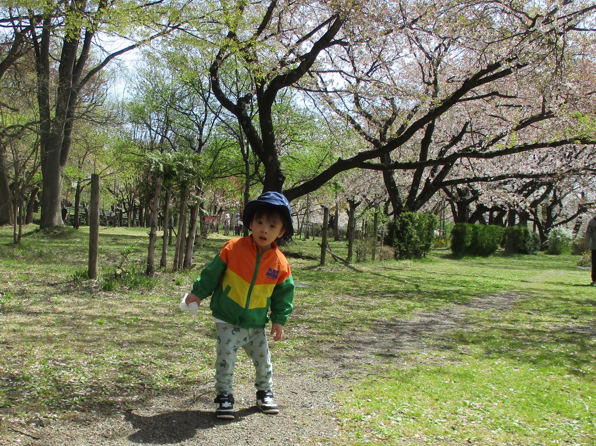 箱「黒石さくらまつり」～児童発達支援センター花りんご～